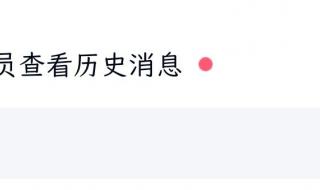开发版内测更新频率