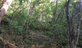 深圳园山风景区