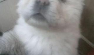 微信号申请